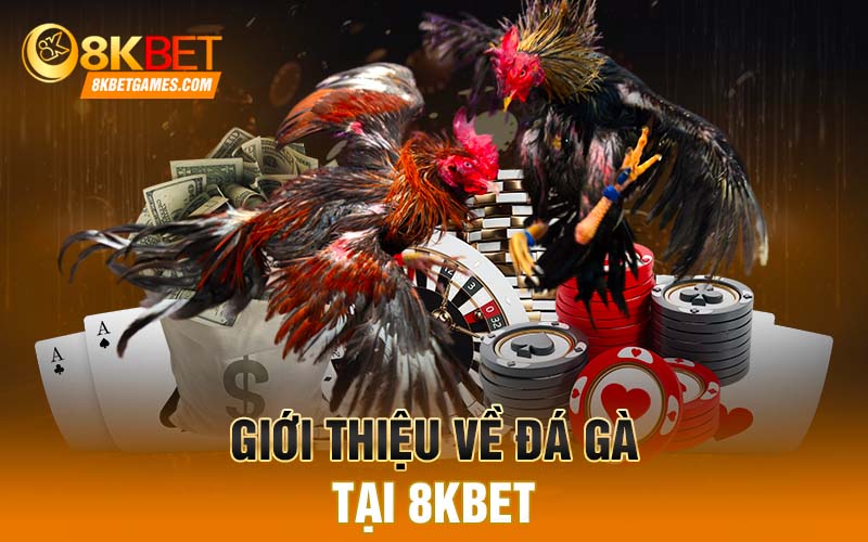 Giới thiệu về đá gà tại 8KBET