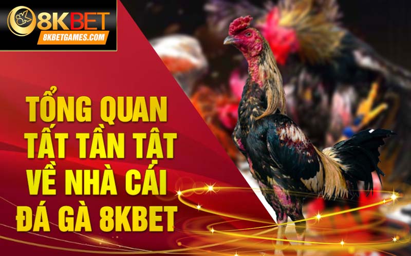 Đá gà 8KBET - Nơi tham gia cá cược đẳng cấp nhất 2024 Tổng quan tất tần tật về nhà cái đá gà 8kbet