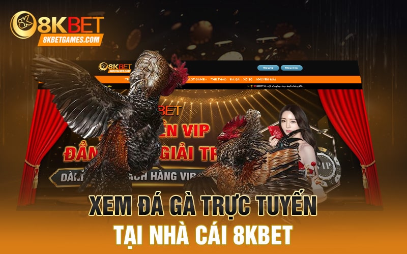 Đá Gà Online Là Gì? Xem Đá Gà Campuchia Trực Tiếp Xem đá gà trực tuyến tại nhà cái 8kbet