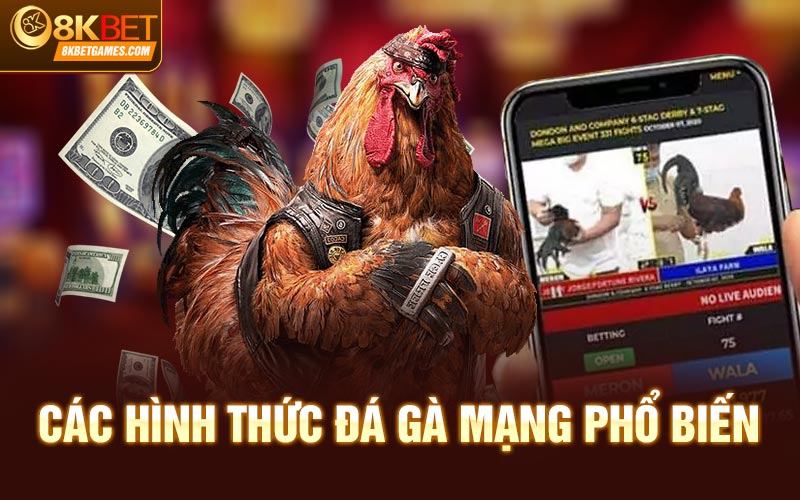 Đá Gà Mạng Hôm Nay - Trận Chiến Kịch Tính Và Đẳng Cấp Các hình thức đá gà mạng phổ biến