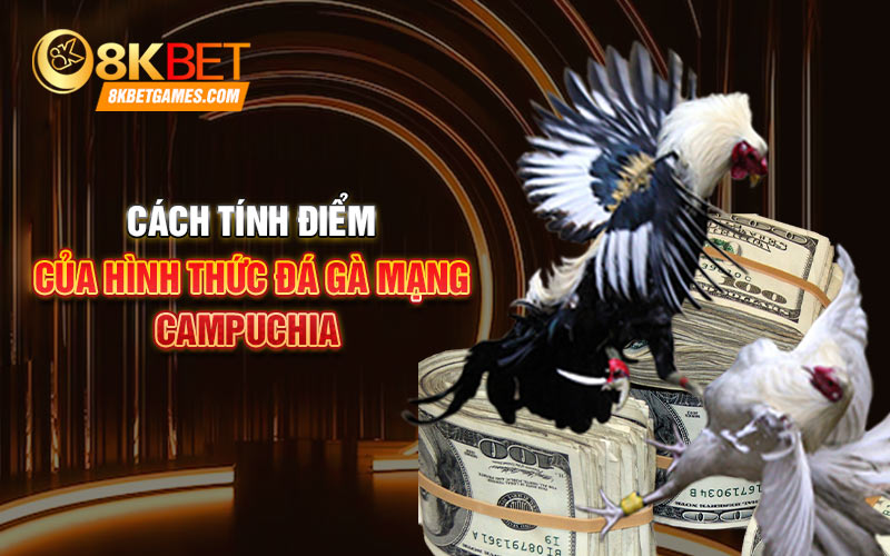 Trực Tiếp Các Trận Đấu Đá Gà Mạng Campuchia Tại 8KBET Cách tính điểm của hình thức đá gà mạng campuchia
