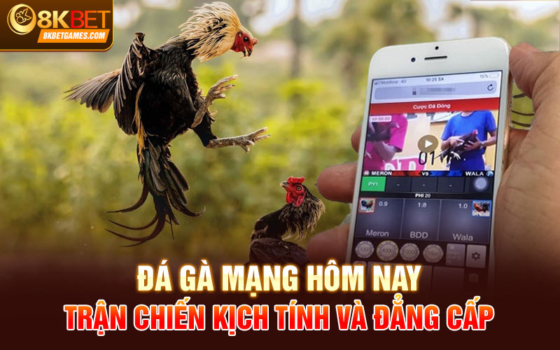 Đá Gà Mạng Hôm Nay - Trận Chiến Kịch Tính Và Đẳng Cấp Các thông tin về trận đấu đá gà mạng hôm nay