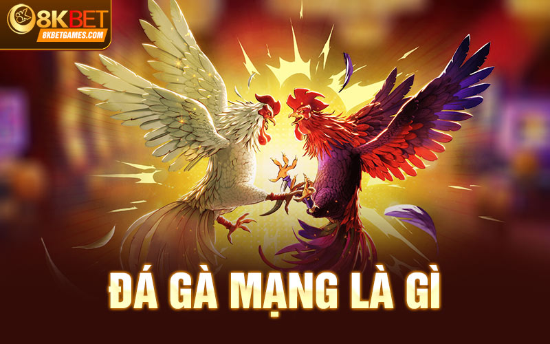 Đá Gà Mạng Hôm Nay - Trận Chiến Kịch Tính Và Đẳng Cấp Đá gà mạng là gì