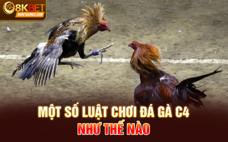 Trực Tiếp Đá Gà C4 - Thưởng Thức Trận Giao Tranh Nảy Lửa Một số luật chơi đá gà c4 như thế nào