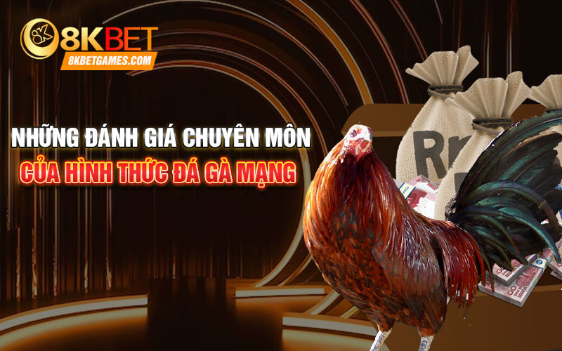 Trực Tiếp Các Trận Đấu Đá Gà Mạng Campuchia Tại 8KBET Những đánh giá chuyên môn của hình thức đá gà mạng campuchia