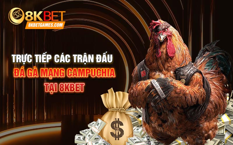 Trực Tiếp Các Trận Đấu Đá Gà Mạng Campuchia Tại 8KBET Trực tiếp các trận đá gà mạng campuchia tại 8KBET có gì