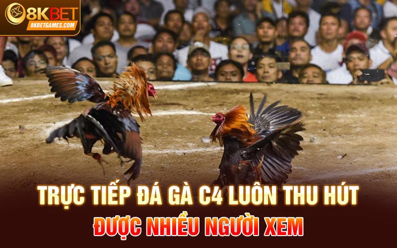 Trực Tiếp Đá Gà C4 - Thưởng Thức Trận Giao Tranh Nảy Lửa Trực tiếp đá gà c4 luôn thu hút được nhiều người xem