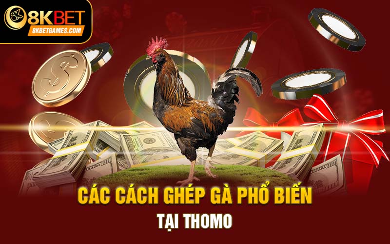 Đá gà Thomo - Điểm đá gà trực tiếp Campuchia ấn tượng Các cách ghép gà phổ biến tại Thomo