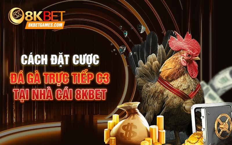 Đá Gà Trực Tiếp C3 8Kbet Với Các Chiến Kê Mạnh Nhất Cách đặt cược đá gà trực tiếp C3 tại nhà cái 8Kbet