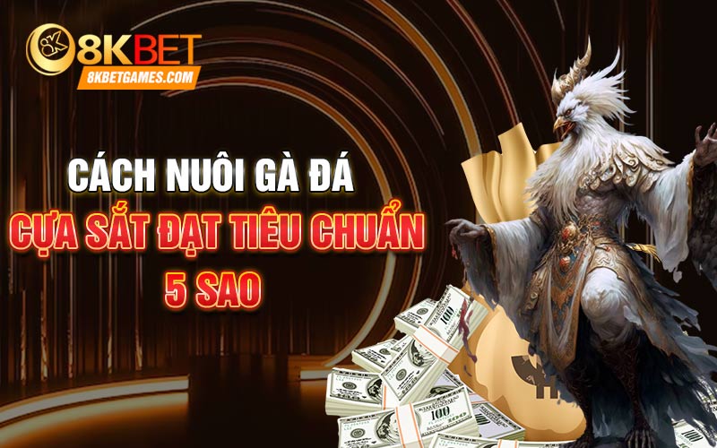 Cách Nuôi Gà Đá Cựa Sắt Chi Tiết Cho Sư Kê Cách nuôi gà đá cựa sắt đạt tiêu chuẩn 5 sao