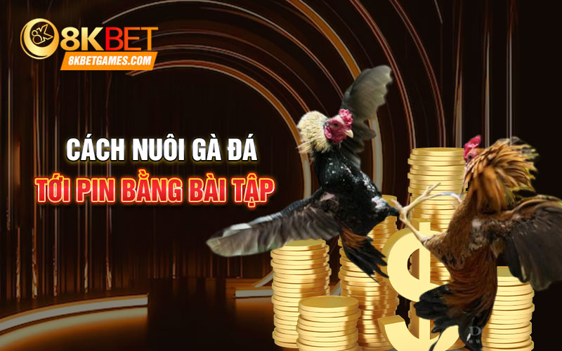 Cách Nuôi Gà Đá Tới Pin Như Chiến Kê Đấu Trường Cách nuôi gà đá tới pin bằng bài tập