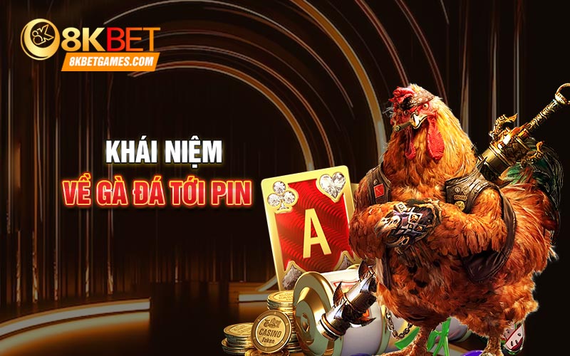 Cách Nuôi Gà Đá Tới Pin Như Chiến Kê Đấu Trường Khái niệm về gà đá tới pin