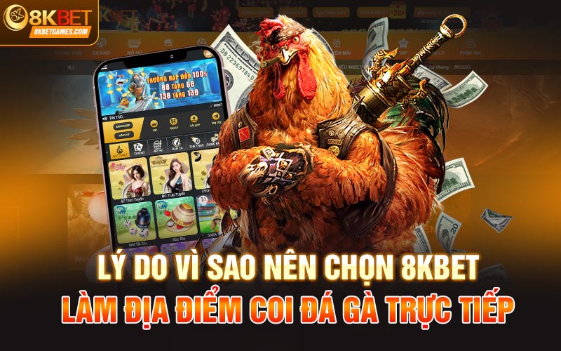 Coi Đá Gà Trực Tiếp Và Đặt Cược Thả Ga Tại Nhà Cái 8Kbet Lý do vì sao nên chọn 8Kbet làm địa điểm coi đá gà trực tiếp