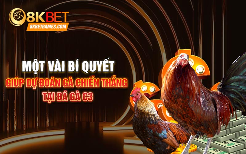 Đá Gà Trực Tiếp C3 8Kbet Với Các Chiến Kê Mạnh Nhất Một vài bí quyết giúp dự đoán gà chiến thắng tại Đá gà C3