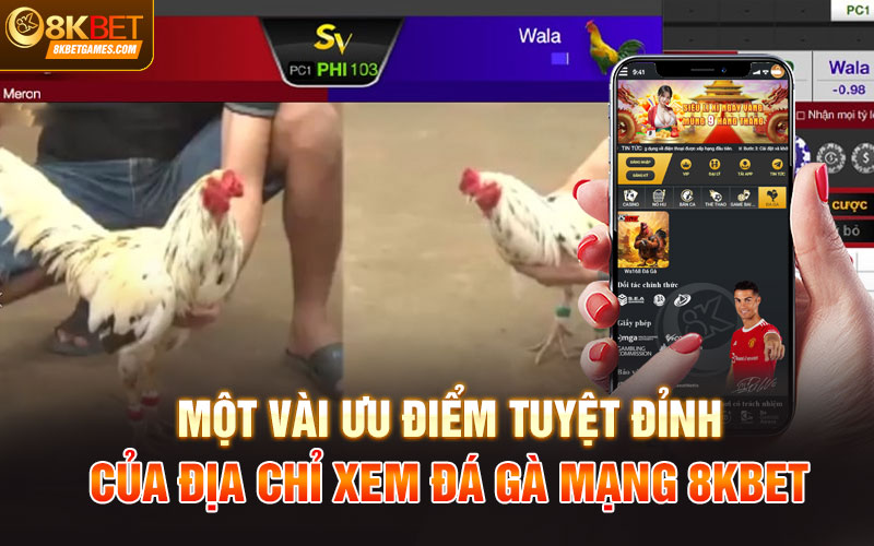 Đá Gà Mạng Trực Tiếp 8Kbet Siêu Đỉnh Dành Cho Anh Em Một vài ưu điểm tuyệt đỉnh của địa chỉ xem đá gà mạng 8Kbet