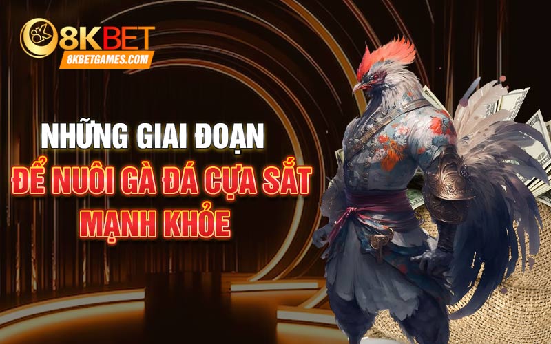 Cách Nuôi Gà Đá Cựa Sắt Chi Tiết Cho Sư Kê Những giai đoạn để nuôi gà đá cựa sắt mạnh khỏe