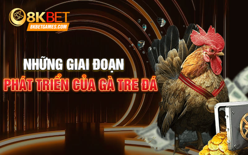 Cách Nuôi Gà Tre Đá Bách Chiến Bách Thắng Những giai đoạn phát triển của gà tre đá