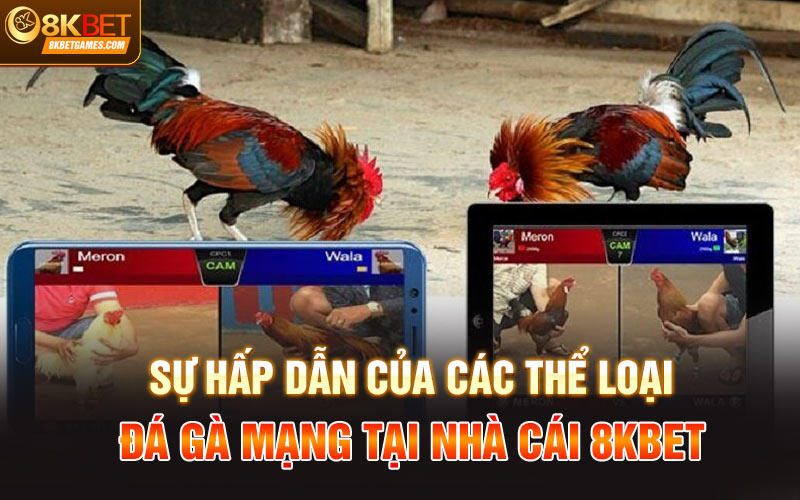 Đá Gà Mạng Trực Tiếp 8Kbet Siêu Đỉnh Dành Cho Anh Em Sự hấp dẫn của các thể loại đá gà mạng tại nhà cái 8Kbet
