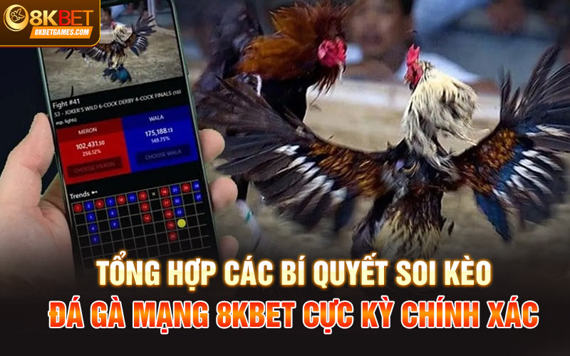 Đá Gà Mạng Trực Tiếp 8Kbet Siêu Đỉnh Dành Cho Anh Em Tổng hợp các bí quyết soi kèo đá gà mạng 8Kbet cực kỳ chính xác