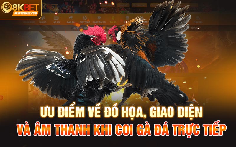 Coi Đá Gà Trực Tiếp Và Đặt Cược Thả Ga Tại Nhà Cái 8Kbet Ưu điểm về đồ họa, giao diện và âm thanh khi coi gà đá trực tiếp