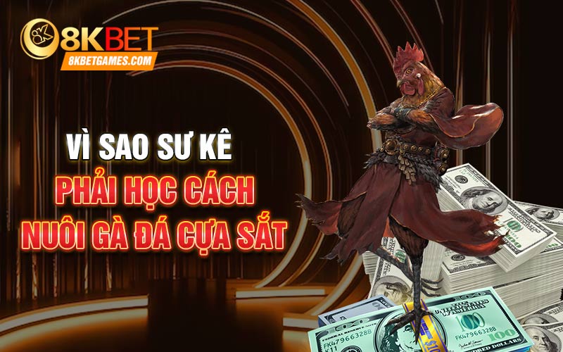 Cách Nuôi Gà Đá Cựa Sắt Chi Tiết Cho Sư Kê Vì sao sư kê phải học cách nuôi gà đá cựa sắt
