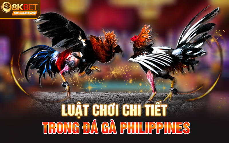 Đá Gà Philippines Siêu Hấp Dẫn Cùng Thưởng Lớn Tại 8kbet Luật chơi chi tiết trong đá gà Philippines