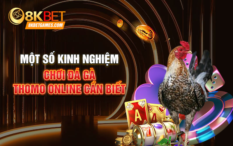 Đá Gà Thomo Online - Những Thông Tin Quan Trọng Về Dịch Vụ Một số kinh nghiệm chơi đá gà Thomo online cần biết