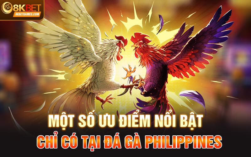 Đá Gà Philippines Siêu Hấp Dẫn Cùng Thưởng Lớn Tại 8kbet Một số ưu điểm nổi bật chỉ có tại đá gà Philippines