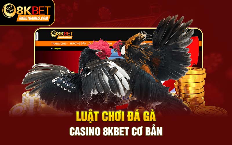 Đá Gà Casino - Bí Kíp Thắng Lớn Cùng Chuyên Gia 8kbet Luật chơi đá gà casino 8kbet cơ bản