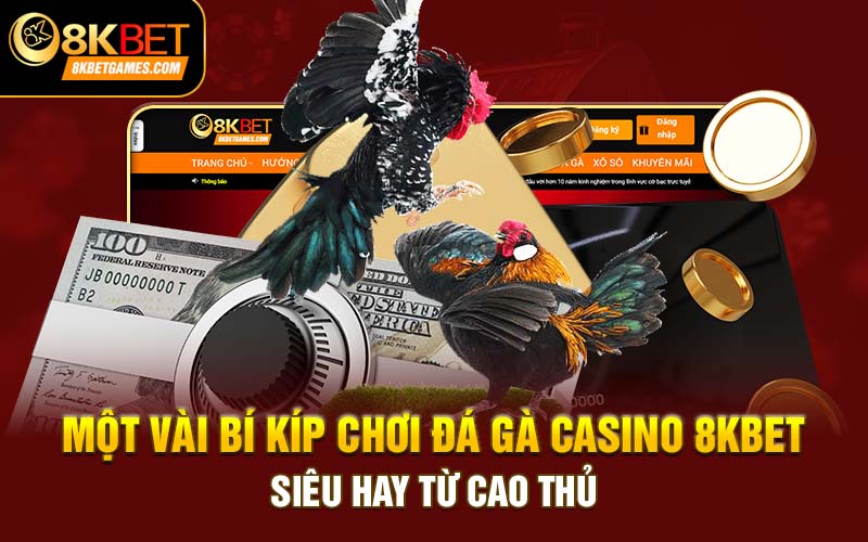 Đá Gà Casino - Bí Kíp Thắng Lớn Cùng Chuyên Gia 8kbet Một vài bí kíp chơi đá gà casino 8kbet siêu hay từ cao thủ