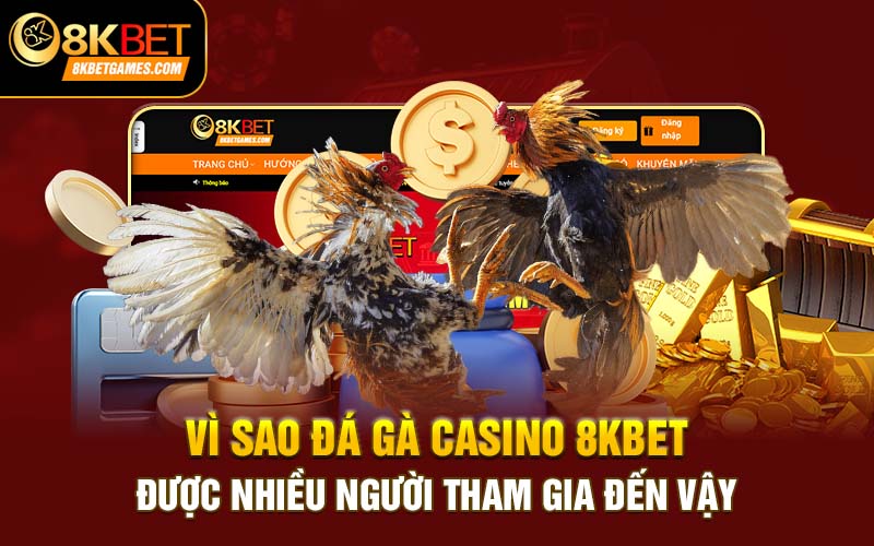 Đá Gà Casino - Bí Kíp Thắng Lớn Cùng Chuyên Gia 8kbet Vì sao đá gà casino 8kbet được nhiều người tham gia đến vậy